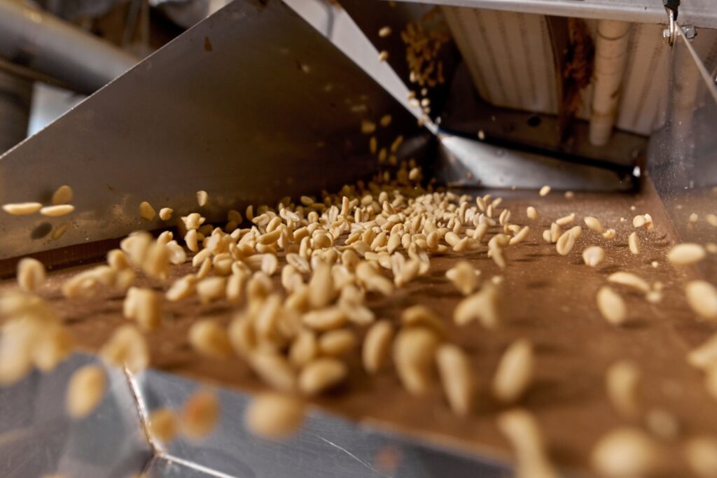 Processing,And,Roasting,Of,Peanuts,On,An,Industrial,Scale.,Industrial