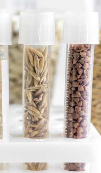 Food,Quality,Control,In,Laboratory,No,One